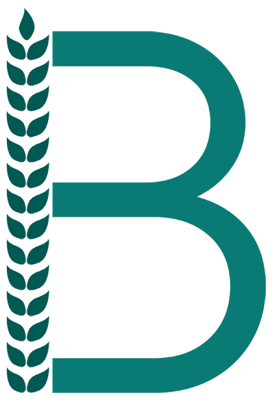 b-logo